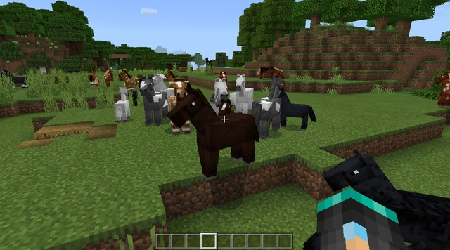 我的世界马的版本同qq4.0官方下载,专业研究解释定义|YE版_v8.196