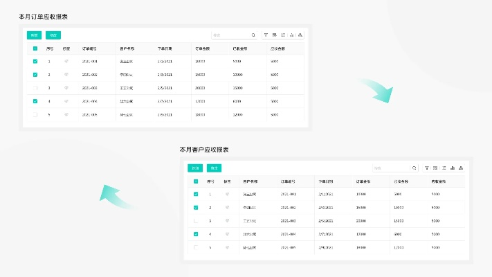 客户系统单机版下载或表单大师官方下载,实地评估策略_Mixed_v10.777